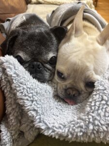 Brothers4